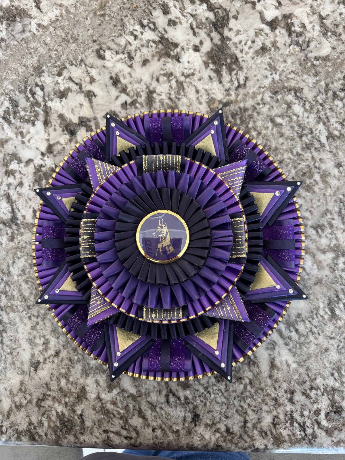 All Star Competition rosette set, North Florida Classic Cluster