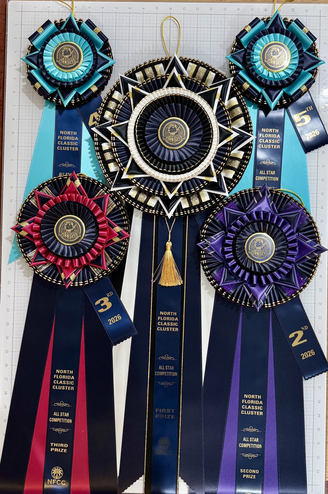 Best NOHS in Show rosette in teal, Greater Panama City Dog Fanciers Association