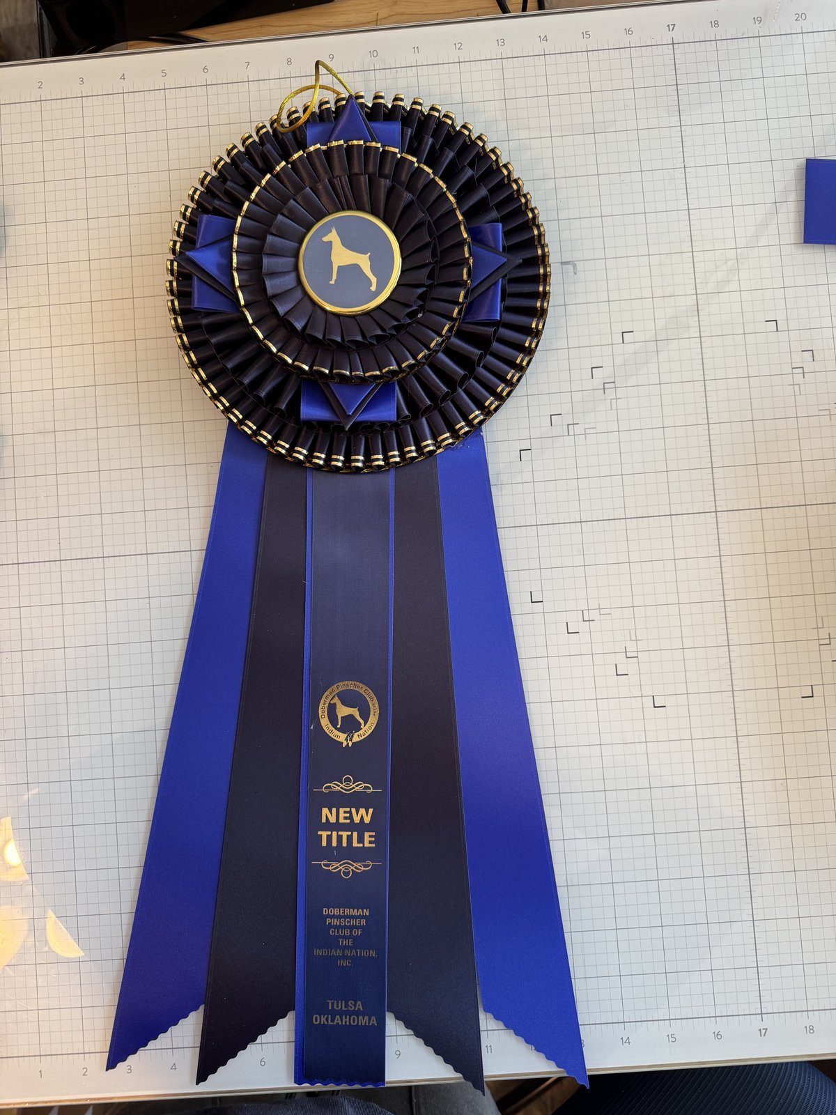New Title rosette in navy and royal blue, Doberman Pinscher Club