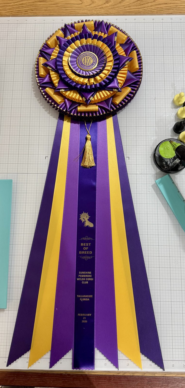 Winners rosette in purple with gold tassel, Sunshine Pembroke Welsh Corgi Club